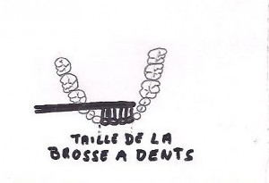 taille brosse à dent